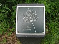 Matthaei Botanical Gardens 2010 0445